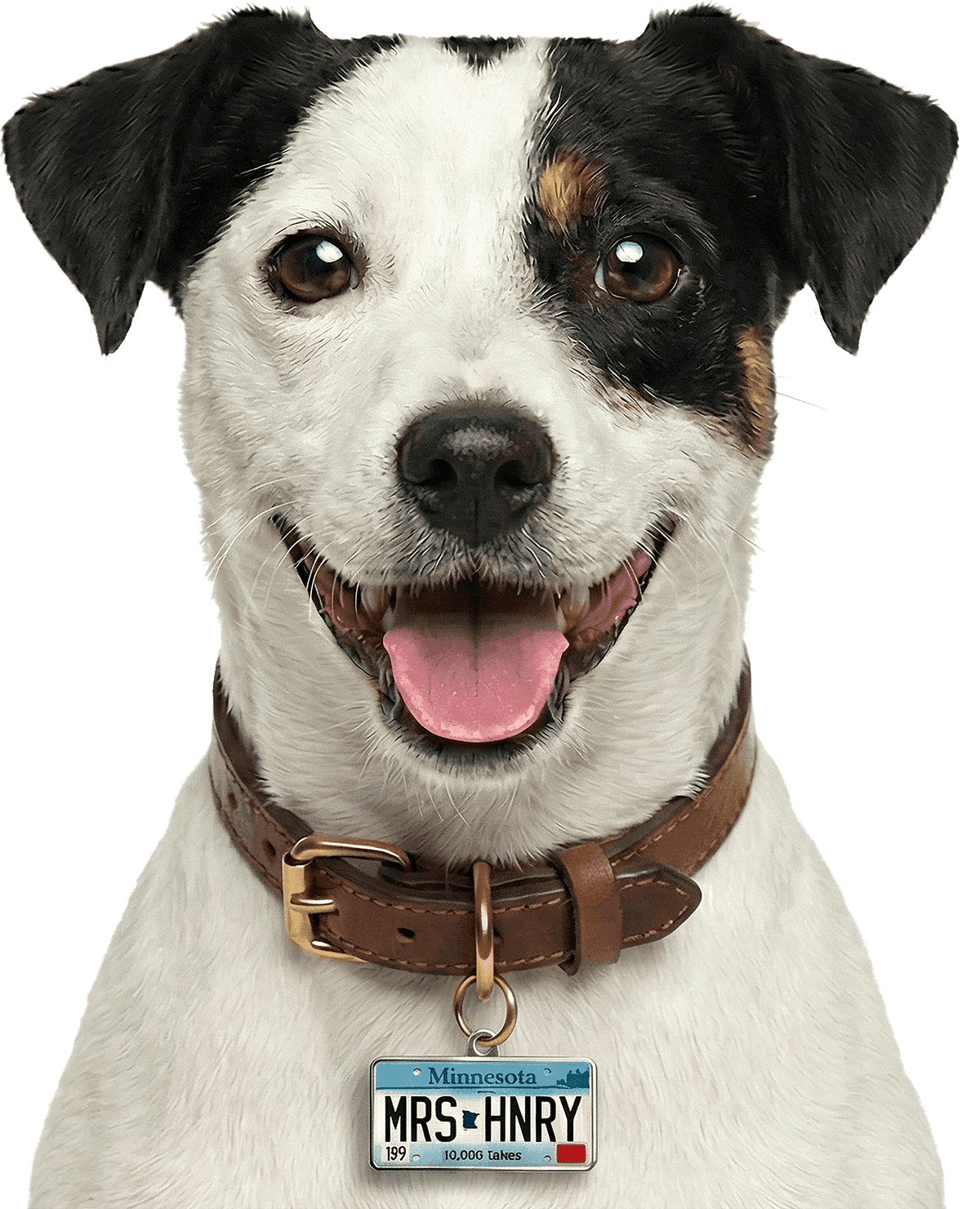Mrs. Henry (Mac) — the telepathic Jack Russell terrier